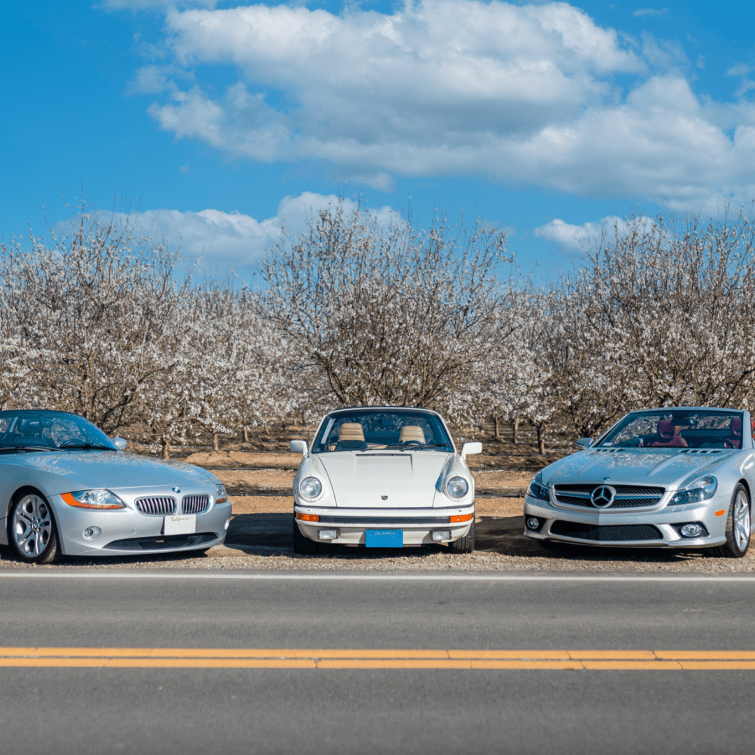 12 Almond Blossom Cruise