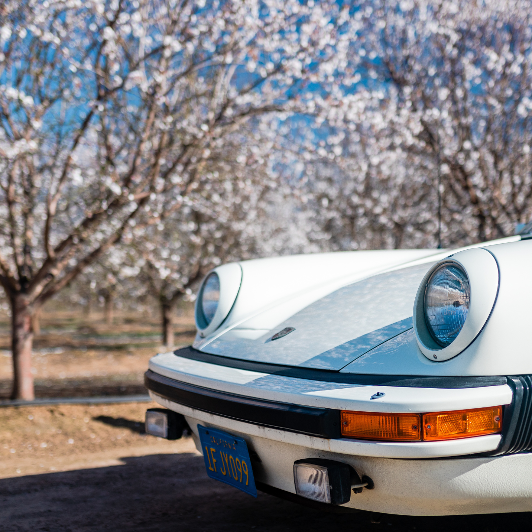 Almond Blossom Cruise